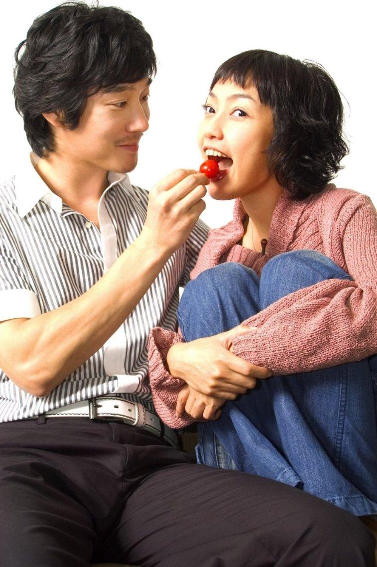 让动物飞一会