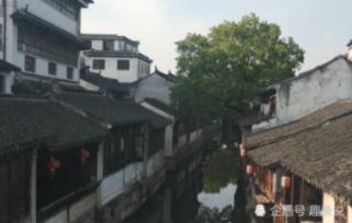 “春城”昆明迎来2024年首场雪 民众开启“云”赏雪模式