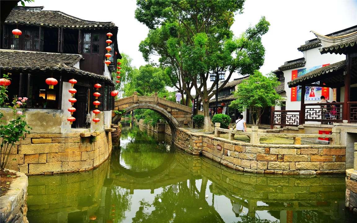 强大的狮子拼图